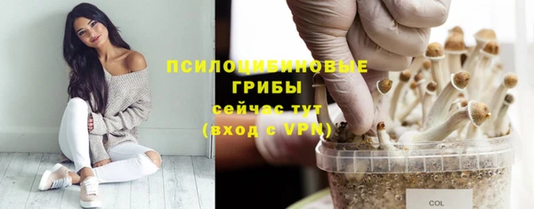 спиды Карталы