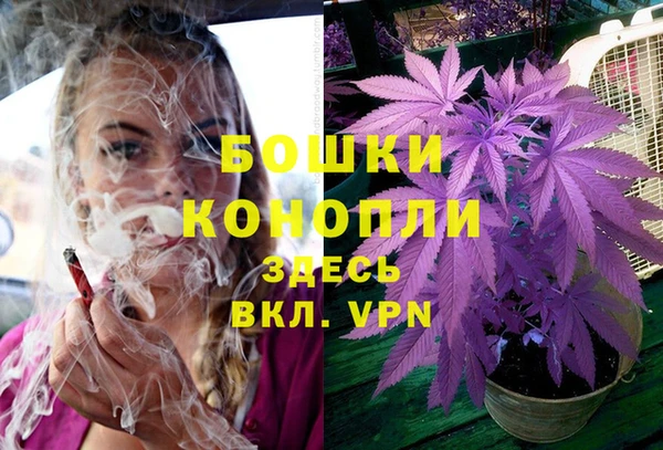 эйфоретик Касимов