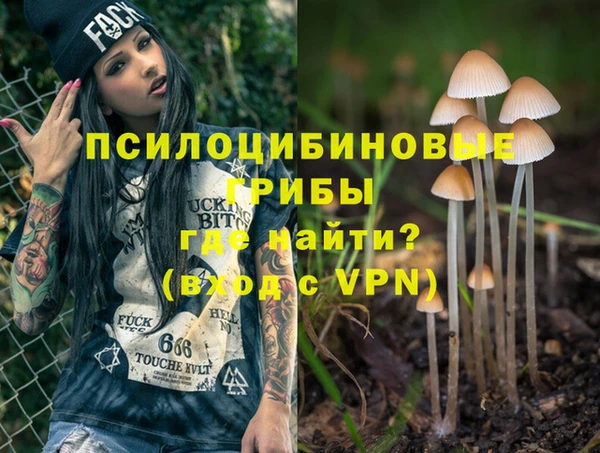 спиды Карталы