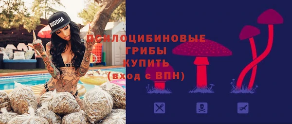эйфоретик Касимов