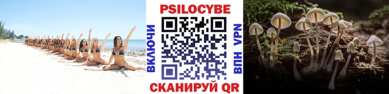 OMG зеркало  Камышин  Псилоцибиновые грибы мухоморы  что такое  